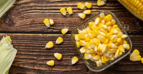 Unlocking the Benefits of Corn Oligopeptides: A Comprehensive Guide to Peptide Power